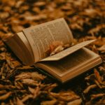 livre ouvert sur feuilles mortes
