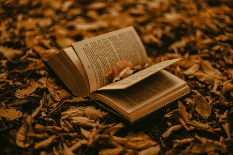 livre ouvert sur feuilles mortes